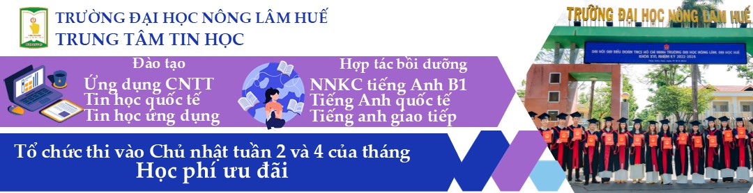 Trung tâm Tin học, Trường Đại học Nông Lâm Huế