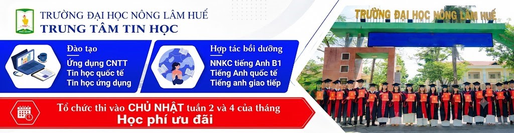 Trung tâm Tin học, Trường Đại học Nông Lâm Huế